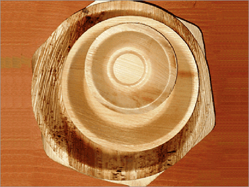 Areca Oval Shape Bowls Size: Various