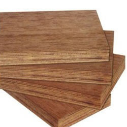 Gurjan Commercial Plywood