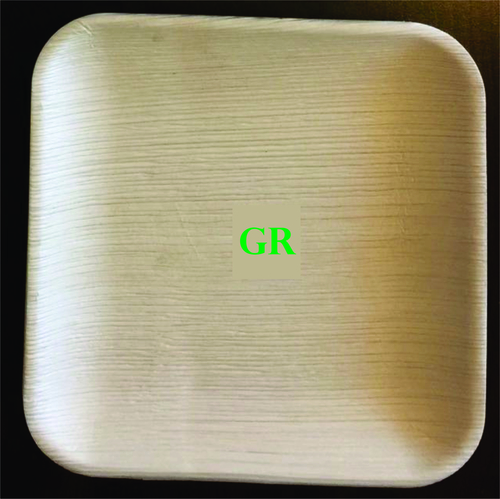 9.6' Inches Areca Leaf Square Plate