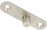 Pivot With Fixing Plate