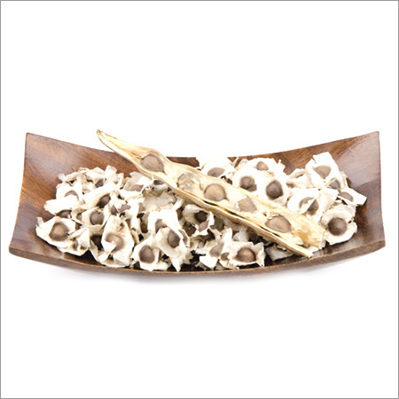 Moringa Seeds