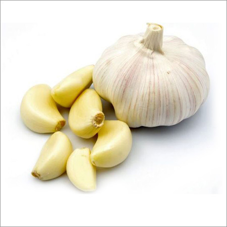 Garlic Bulb