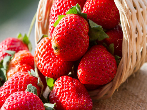 Strawberry Festival