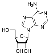 Adenosine For Biochemistry-5Gm Cas No: 58-61-7