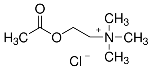Acetylcholine Chloride Ar Cas No: 60-31-1