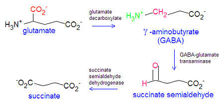 4-Aminobutyric Acid For Synthesis (Gaba) Cas No: 56-12-2