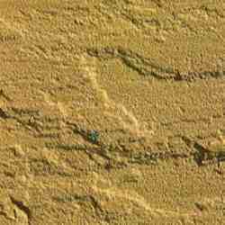 G Yellow Sandstone