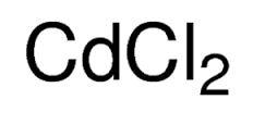 Cadmium Chloride (Monohydrate) Cas No: 35658-65-2