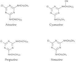 Herbicides - Loam 1