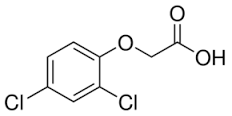 Chemical Compound C8H6Cl2O3 - Melting Point 157-159 Â°C, High Purity, Effective Synthesis, Versatile Applications
