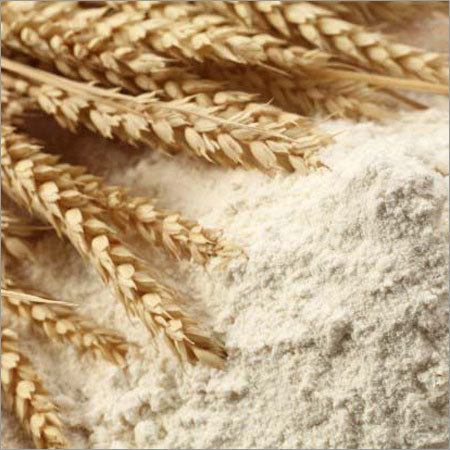 Wheat Flour