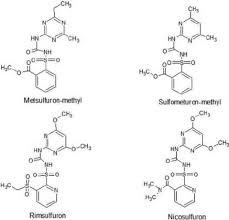 Herbicides - Loamy Sand 1