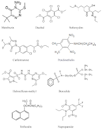 Herbicides - Sandy Loam 1