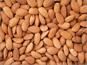 Badam