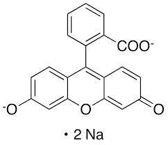 Fluorescein Sodium-25Gm Cas No: 518-47-8