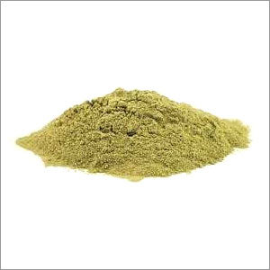 Xylanase Enzyme