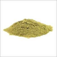 Xylanase Enzyme