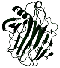 Cellulase Enzyme