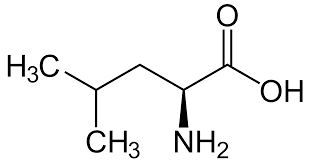 DL-Isoleucine - 25GM, M.W. 131.18, Min. Assay 99%, CAS No. 443-79-8, Biochemical Grade