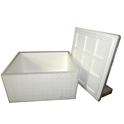Eps Ice Box By Divya Packaging