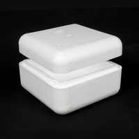 Eps Thermocol Box By Divya Packaging