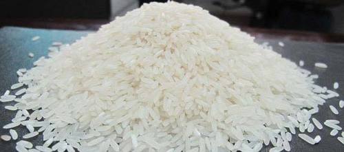 IR20 rice