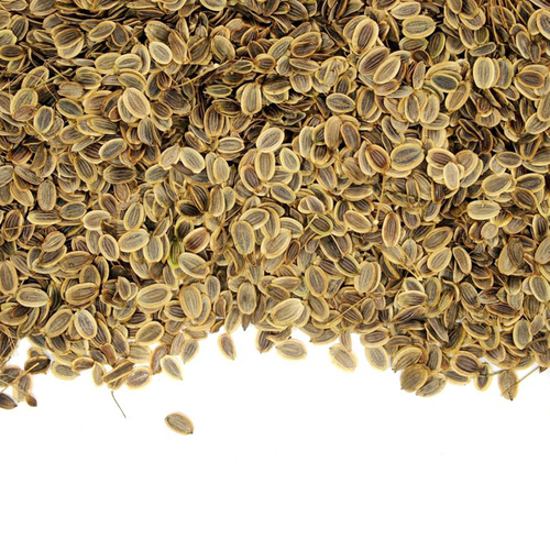 Dill Seed Oil - Herbal Extract, 2-Year Shelf Life | Antispasmodic, Disinfectant, Digestive Support for All Ages