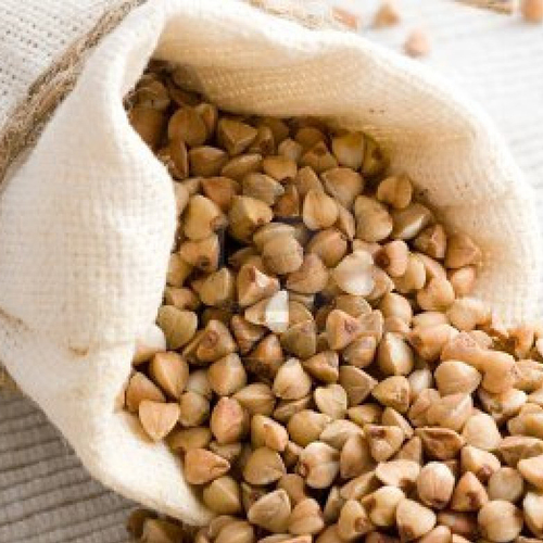 Buckwheat Oil - Bulk Drums for Nutrition & Herbal Extract | 2-Year Shelf Life, Non-Cereal Grain Alternative