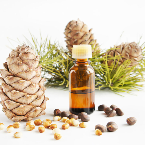 Cedarwood Essential Oil - Bulk Packaged in Drums, Antiseptic and Antispasmodic Herbal Extract for All Age Groups