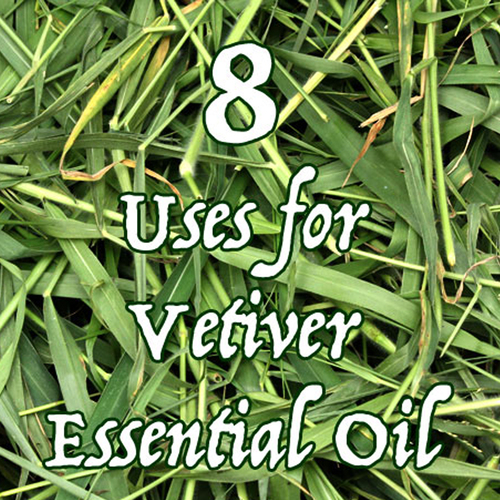 Vetiver Oil Age Group: All Age Group