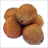 Dried Coconut
