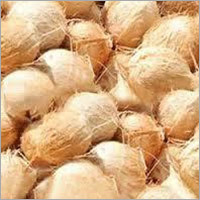 High Quality Coconut