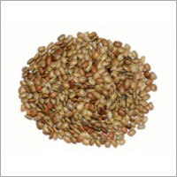 Horse Gram