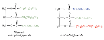 Triglyceride Mix