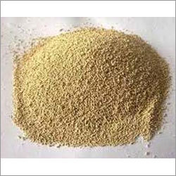 Dried Yeast Application: Pharmaceutical Industry