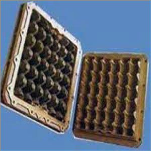 Egg Mould Disposable Tray