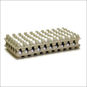 Disposable Egg Tray