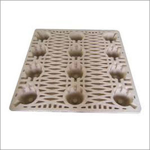 Paper Pulp Moulded Tray