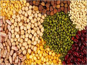Whole Pulses