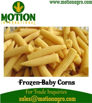 Frozen Baby Corn
