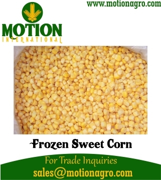 Frozen Sweet Corn
