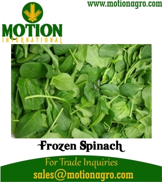 Frozen Spinach