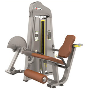 Leg Extension