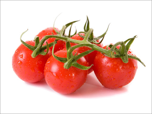 Tomato
