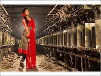 Unstitched Suit - Cotton, Embroidered Sleeveless Design | Anti-wrinkle, Waterproof, Non-toxic, Washable, Perfect For Rainy And Spring Seasons