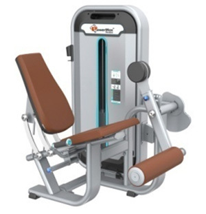 Leg Extension