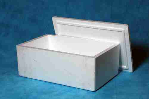 Fish Box