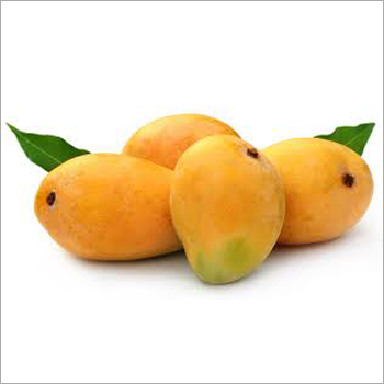 Alphonso Mango