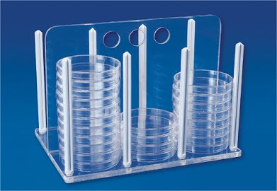Rack for Petri Dishes