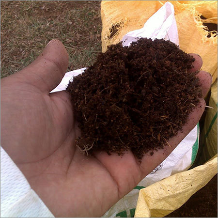 Coir Pith Coir Pith